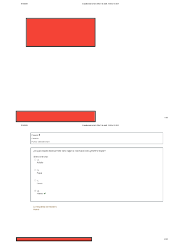 Miniatura del documento Cuestionario-tema-8.pdf