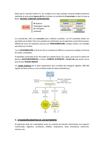 Miniatura del documento TEMA-2.pdf