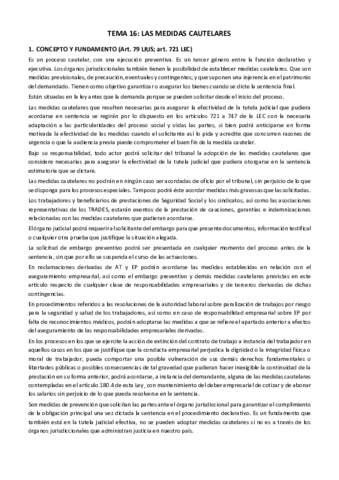 Miniatura del documento TEMA-16.pdf