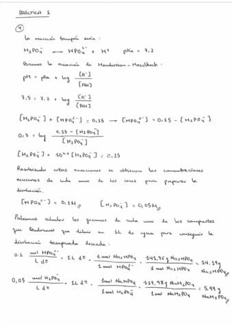 Miniatura del documento Ejercicio-practica-1.pdf