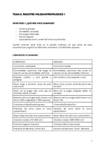 Miniatura del documento TEMA-6.pdf