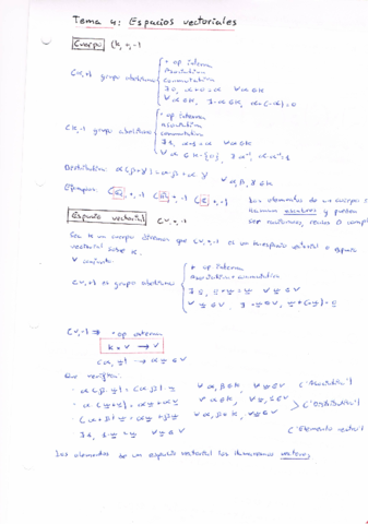 Miniatura del documento ALGMisApuntes4.pdf