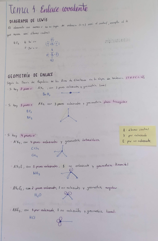 Miniatura del documento IMG20200716115421.jpg