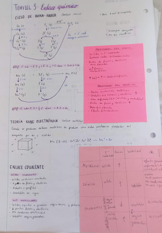 Miniatura del documento IMG20200716115415.jpg