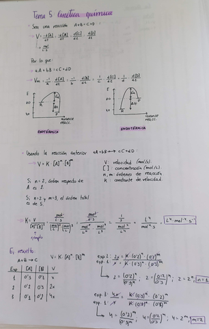 Miniatura del documento IMG20200716115440.jpg
