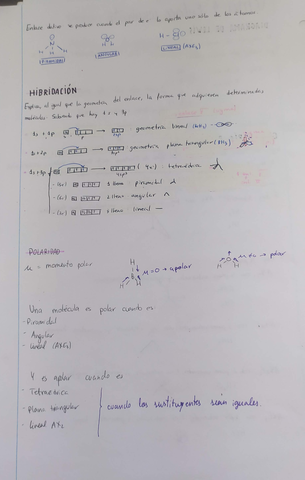 Miniatura del documento IMG20200716115426.jpg