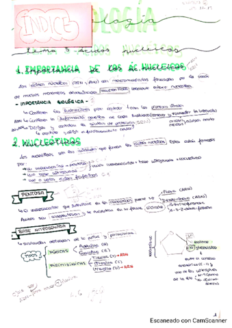 Miniatura del documento Tema-5-Marta-P.pdf