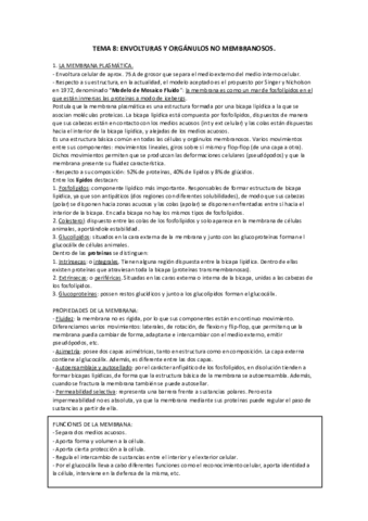 Miniatura del documento TEMA-8.pdf