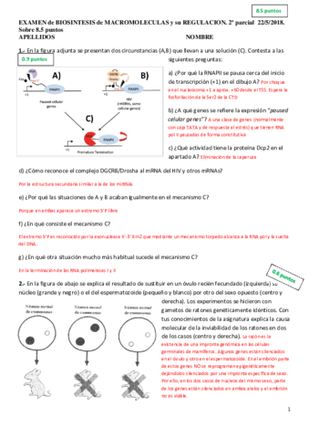 Miniatura del documento EXA1-18r.pdf