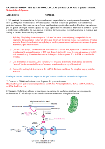 Miniatura del documento Examen-de-Biosintesis-de-Macromoleculas-del-2015-2o-parcial.pdf