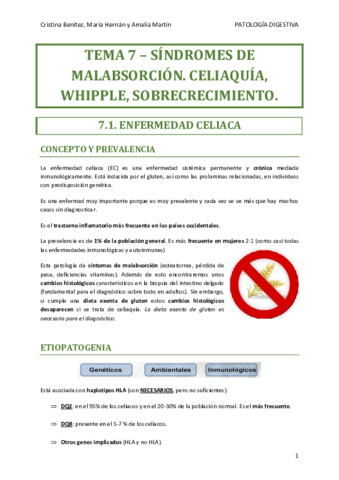 Miniatura del documento TEMA-7-DIGESTIVO.pdf