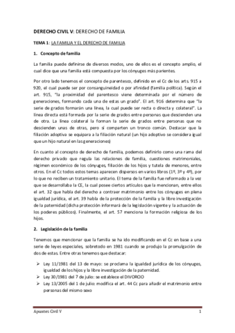 Miniatura del documento APUNTES.pdf