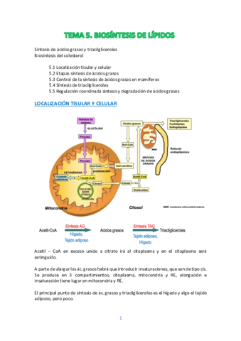 Miniatura del documento TEMA-5.pdf
