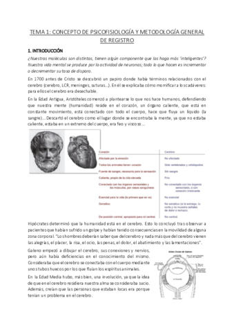 Miniatura del documento Tema-1.pdf