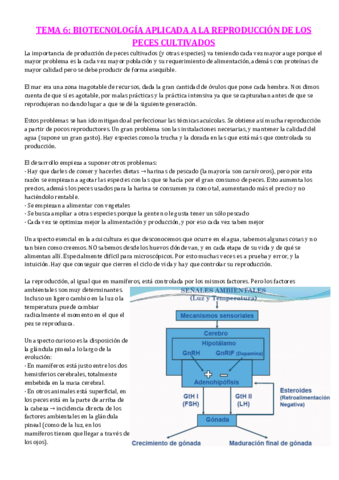Miniatura del documento TEMA-6.pdf