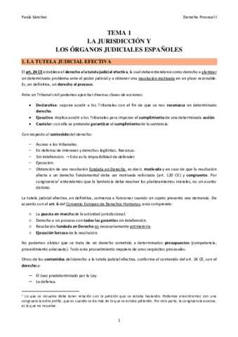 Miniatura del documento TEMA-1-Procesal-I.pdf