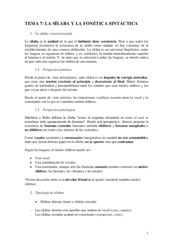 Miniatura del documento T7-La-silaba-y-la-fonetica-sintactica.pdf