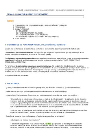 Miniatura del documento TEMA1.pdf