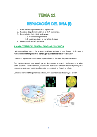 Miniatura del documento TEMA-11.pdf