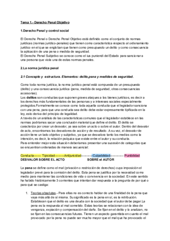 Miniatura del documento TEMA-1.pdf