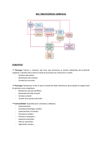 Miniatura del documento M2-INSUFICIENCIA-CARDIACA.pdf