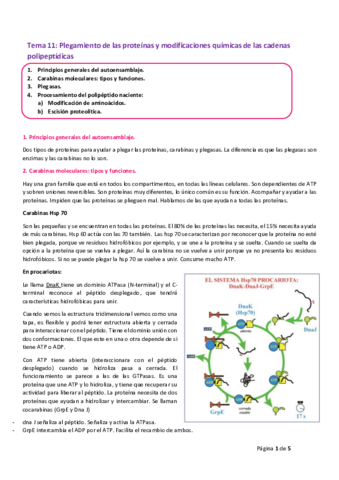 Miniatura del documento Tema 11.pdf