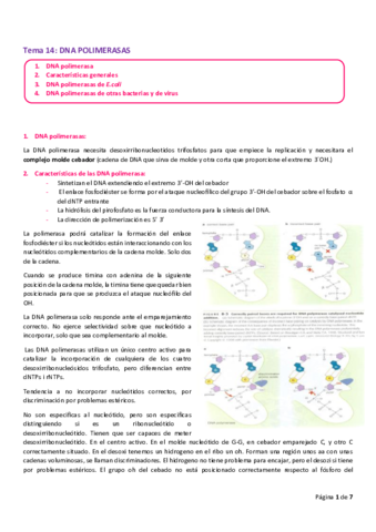 Miniatura del documento tema 14 .pdf