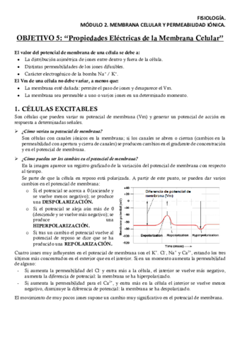 Miniatura del documento FISM2OB5Apuntes.pdf