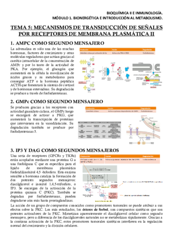 Miniatura del documento BQM1T5Apuntes.pdf