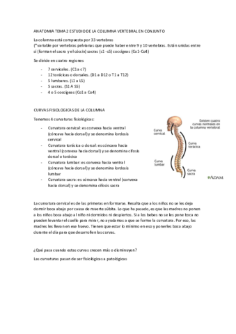 Miniatura del documento T2-ANATOMIA-FUNCIONAL.pdf