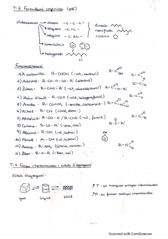 Miniatura del documento T3FormulacioOrganica.pdf
