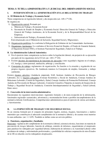 Miniatura del documento Tema-5-Derecho-del-Trabajo-II.pdf