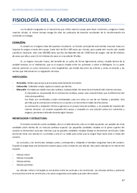 Miniatura del documento APUNTES COMPLETOS B3.pdf