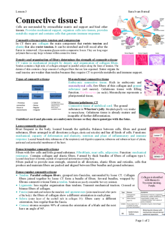 Miniatura del documento 3.pdf