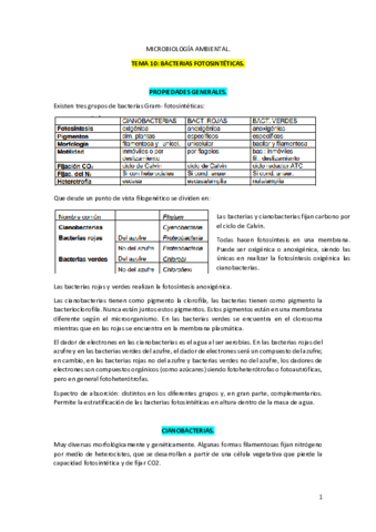 Miniatura del documento Tema-10-Bacterias-Fotosinteticas.pdf