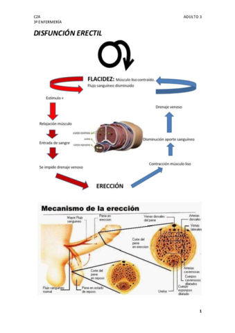 Miniatura del documento 2.pdf