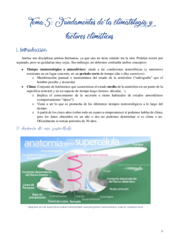 Miniatura del documento Tema-5.pdf