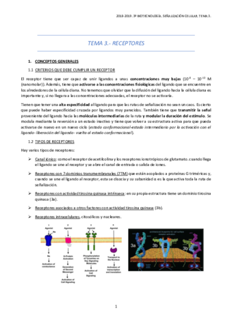 Miniatura del documento TEMA-3-3.pdf