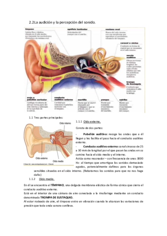 Miniatura del documento 2.pdf
