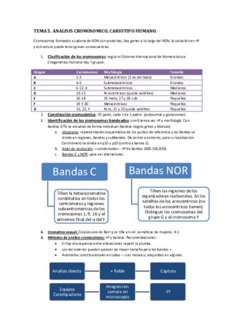 Miniatura del documento TEMA-5.pdf