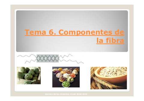 Miniatura del documento Tema-6-FIBRA.pdf