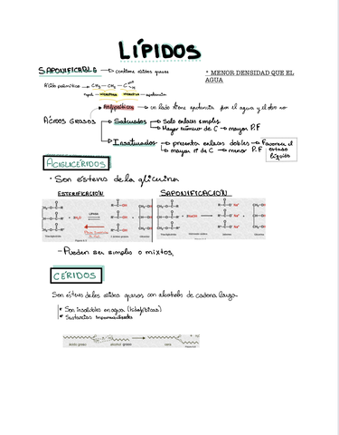 Miniatura del documento 9BA7FD18-A9E6-4222-BC71-50CFED354C6A.jpg