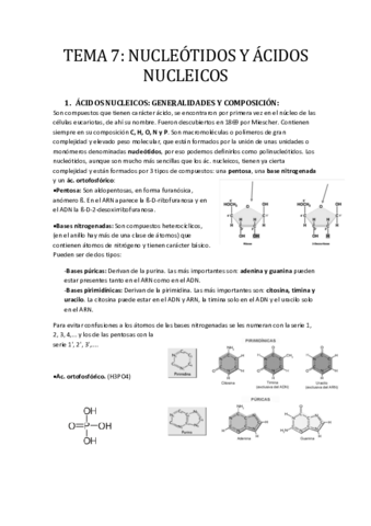 Miniatura del documento -TEMA-7-NUCLEOTIDOS-Y-ACIDOS-NUCLEICOS.pdf