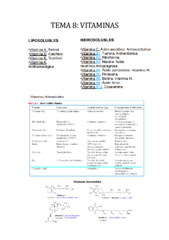 Miniatura del documento -TEMA-8-VITAMINAS.pdf