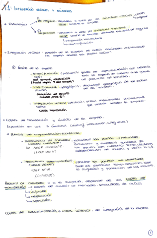 Miniatura del documento tema-1-estrateg-2.pdf