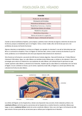 Miniatura del documento 5.pdf
