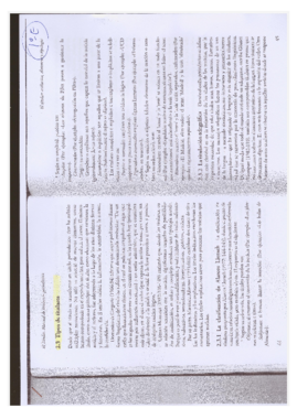 Miniatura del documento TIPOS DE TITULARES.pdf