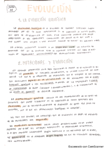 Miniatura del documento UD19-Evolucion.pdf