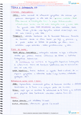 Miniatura del documento TEMA_01_PREGUNTAS_SIG.pdf