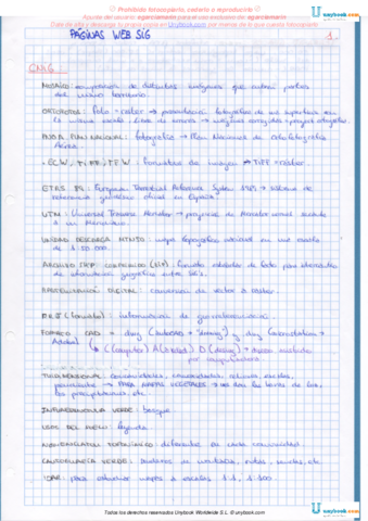 Miniatura del documento DEFINICIONES_SIG.pdf